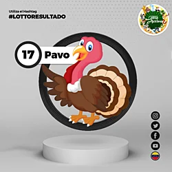 02:00 PM Pavo 17