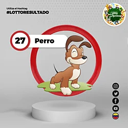 05:00 PM Perro 27