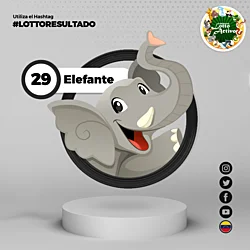 04:00 PM Elefante 29