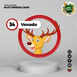 11:00 AM Venado 34