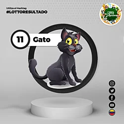 11:00 AM Gato 11