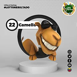 06:00 PM Camello 22