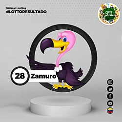 01:00 PM Zamuro 28