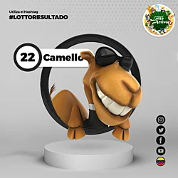 10:00 AM Camello 22