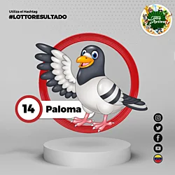 04:00 PM Paloma 14