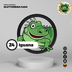 03:00 PM Iguana 24